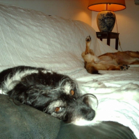 Photo #203905 de Benjie