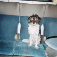 Photo #203914 de Benjie