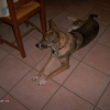 juin2009_10_