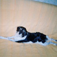Photo #203916 de Benjie
