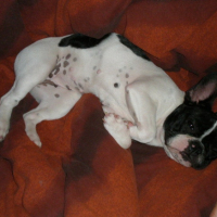 Photo #204009 de Eden