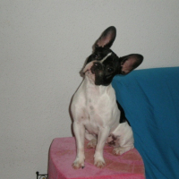 Photo #204010 de Eden