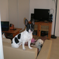Photo #204012 de Eden