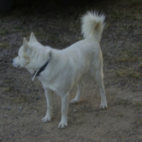 Photo #204014 de Ulhan