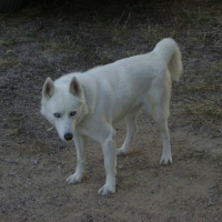 Photo #204017 de Ulhan
