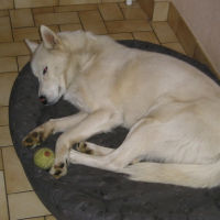 Photo #204020 de Ulhan