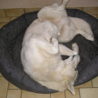 Photo #204024 de Ulhan