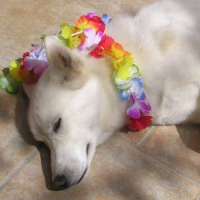 Photo #204028 de Ulhan