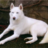 Photo #204029 de Ulhan