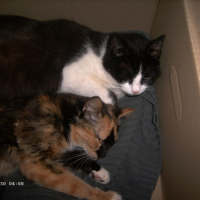 Photo #204055 de Betsy