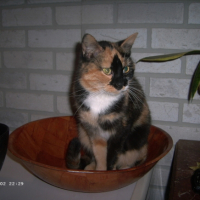 Photo #204057 de Betsy
