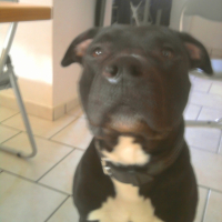 Photo #204129 de Athos