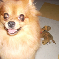 Photo #204167 de Nala