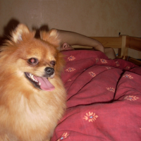 Photo #204169 de Nala