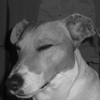 CIMG2008
