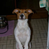 Photo #204180 de Alpha
