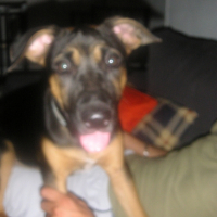 Photo #204210 de Eden