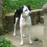 Photo #204215 de Cali