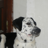 Photo #204223 de Cali