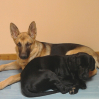 Photo #204240 de Zeus