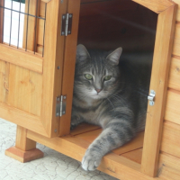 Photo #204256 de Merlin
