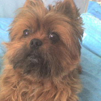 Photo #204258 de Lady