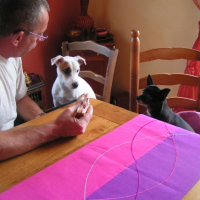 Photo #204299 de Tibou