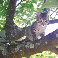 Photo #204323 de Charly