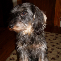 Photo #204368 de Goliath