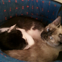 Photo #204499 de Mystic