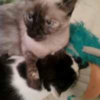 Photo #204503 de Mystic