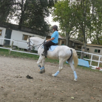 Photo #204512 de Orphee