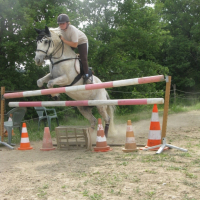 Photo #204548 de Merlin