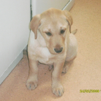Photo #204665 de Leroy