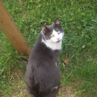 Photo #204712 de Jack