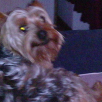 Photo #204773 de Bill