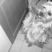 Photo #204784 de Bill
