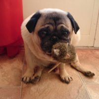 Photo #204889 de Spooky