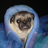 j'ai froid