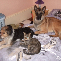 Vadim, Constance et le chat Astérix