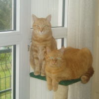 Souvenirs avec mon ami Spirou