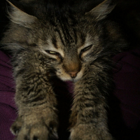 Photo #205109 de Kheops