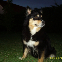 Photo #205179 de Asky