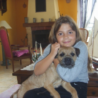 Photo #205188 de Dino