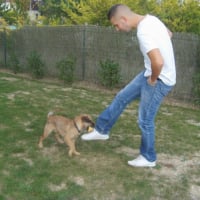 Photo #205190 de Dino