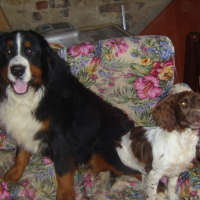 Photo #205369 de Clovis