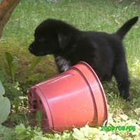 Photo #205425 de Emyl