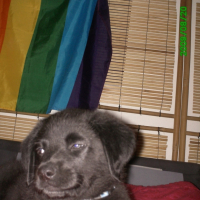 Photo #205427 de Emyl