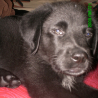 Photo #205429 de Emyl