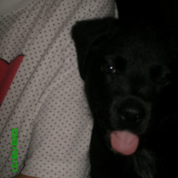Photo #205433 de Emyl